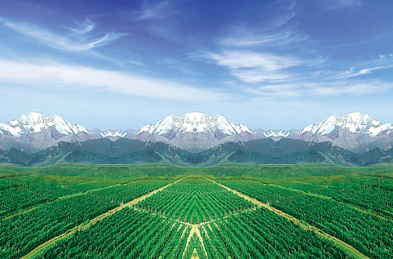 201509111550451efcb-550.png 201509111550451efcb-550.png