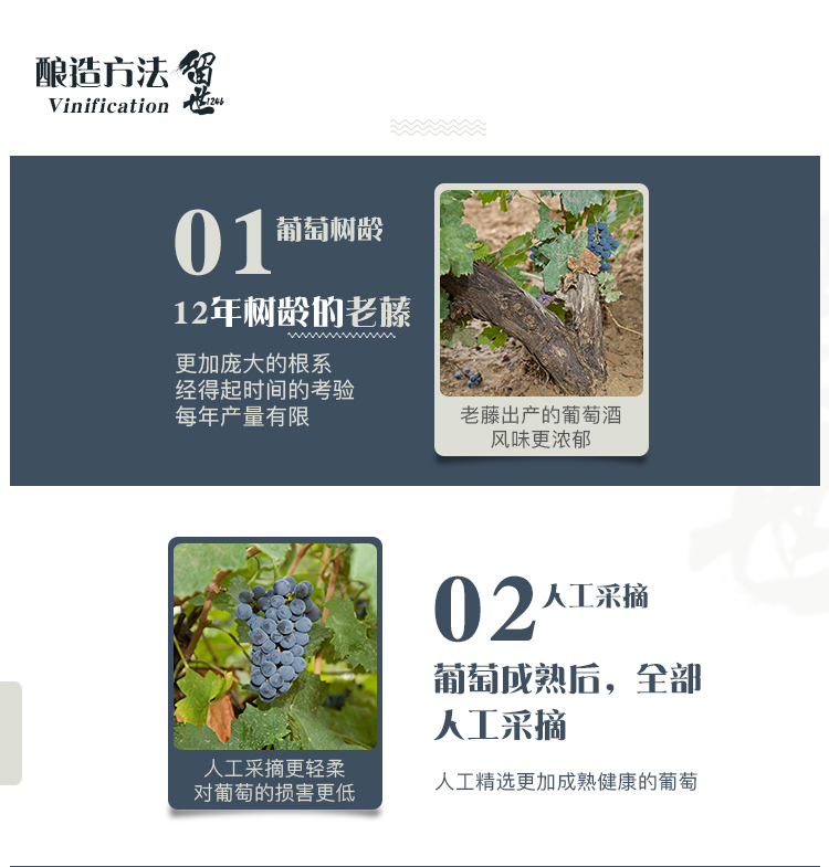 isc_20191009_1570604262_5d9d84e6e850f.jpg