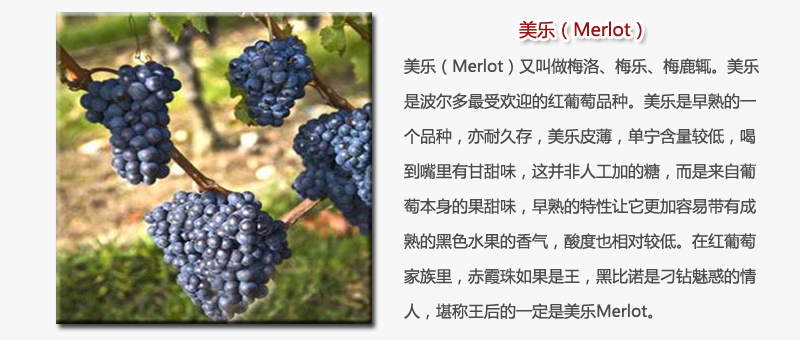 美乐.jpg