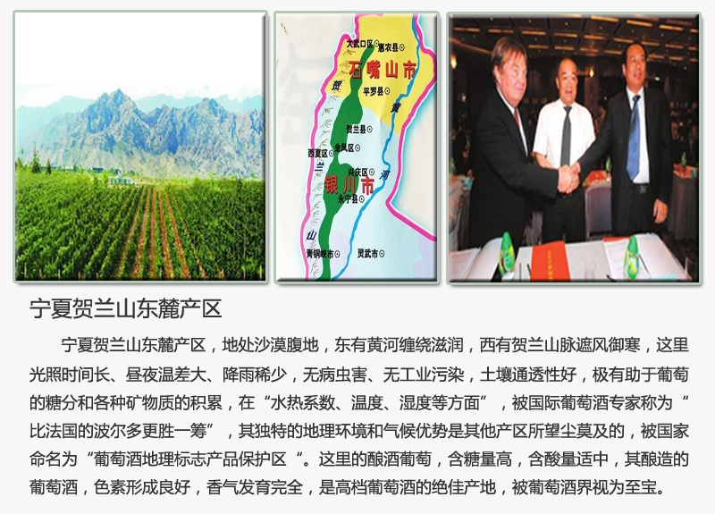 贺兰山东麓.jpg